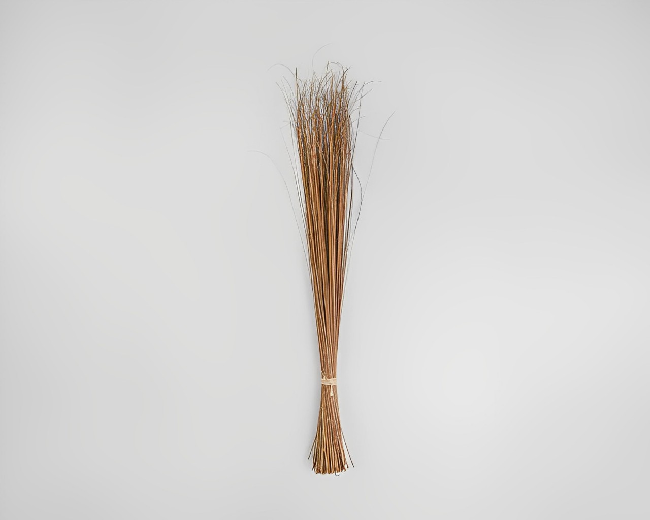 PALM TING TING STRAIGHT